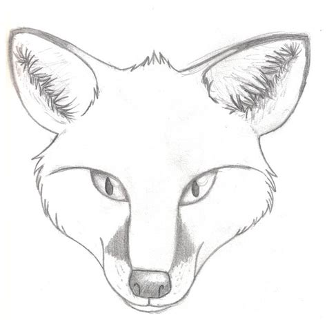 Realistic Fox Head Drawing Images & Pictures - Becuo | Fox sketch, Fox ...