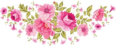 pink flowers with green leaves on white background