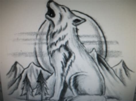 Wolf Howling At The Moon Drawing In Pencil at GetDrawings | Free download