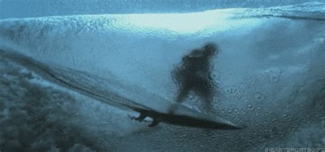 The best animated surfing GIFs ever