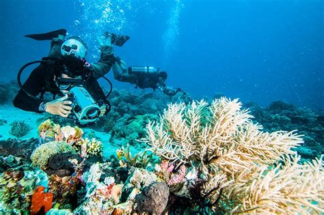 What is Underwater Photography - A Complete Guide