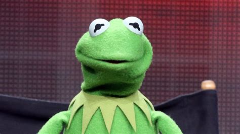 Why Kermit the Frog memes are so popular, according to science - BBC News