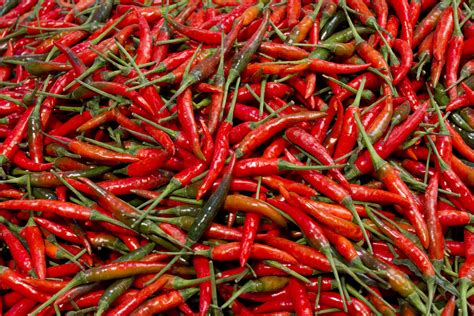 Types of Peppers, Explained: Heat Levels of Different Chili Peppers ...