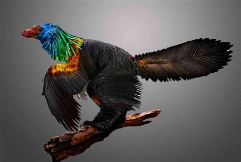 Scientists Discover 161 Million-year-old 'Rainbow Dinosaur' With ...