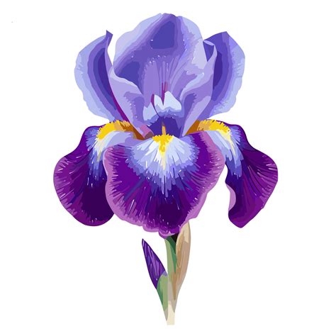 Iris flower transparent background,Ai Generative 27434238 PNG