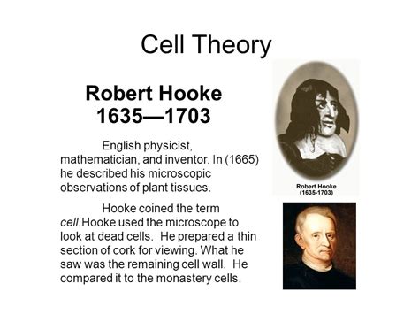 Robert Hooke Used the Name Cells to Describe Their