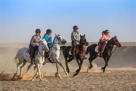 Fast-paced trail rides around the world | Equus Journeys