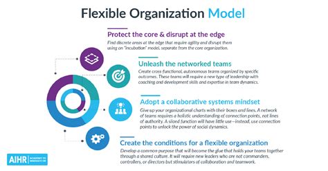 9 Organizational Design Models You Should Know - AIHR