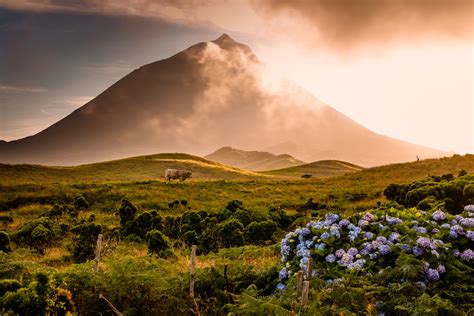 Visit Pico island in The Azores?! I would! - Portugal Holidays ...