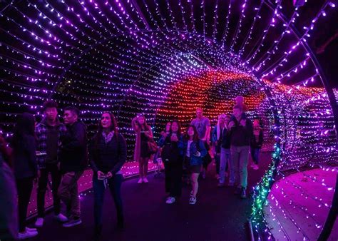 LA Zoo Lights Twinkle Tunnel - Any Tots