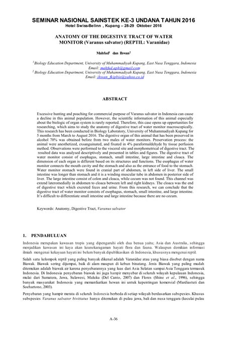 (PDF) Anatomy Of The Digestive Tract Of Water Monitor (Varanus salvator ...