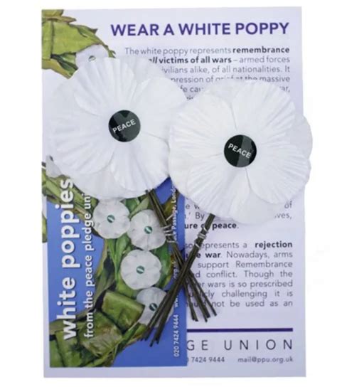 Why do people wear a white poppy, what do they mean and why are they ...