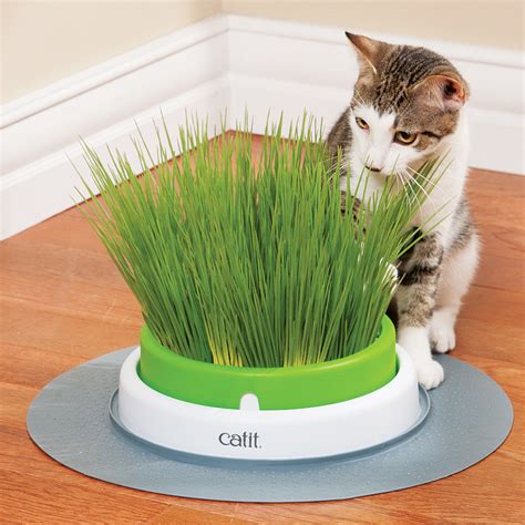 Catit 2.0 Cat Grass Planter Kit for Cats