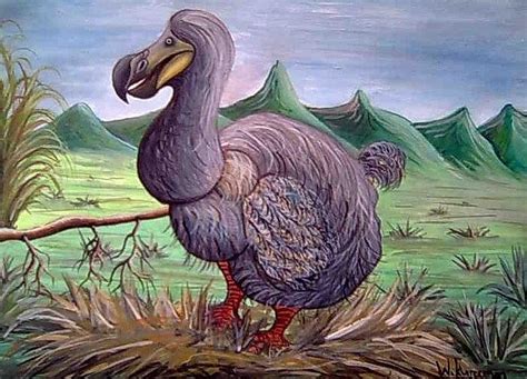 Dodo Bird Painting at PaintingValley.com | Explore collection of Dodo ...