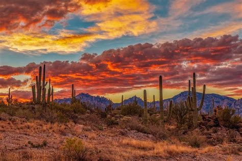 A fiery Sonoran desert sunrise #instagramaz #arizona #sunrise # ...