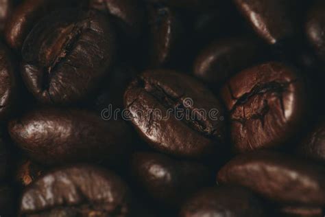 Coffee Beans from Top View Photographed Stock Image - Image of morning ...