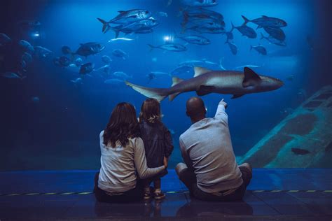 Experiences & Events | National Marine Aquarium