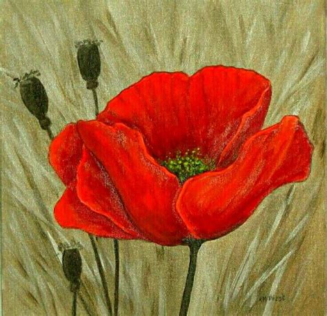 Pin by Elsabe van on art | Poppy painting, Flower art painting, Red ...