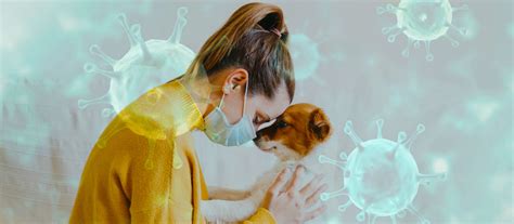 COVID-19 and Your Pets – Everything You Need To Know - PET CARE CONNECTED