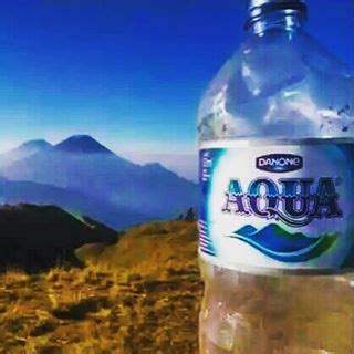 Logo air minum Aqua ternyata mirip banget dengan gunung di Jawa ini