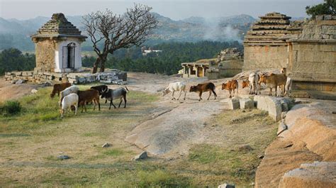 5 Indian villages which you must not miss visiting | India.com