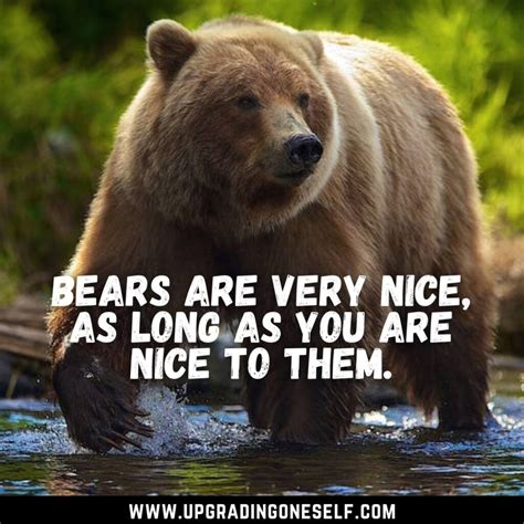 Top 12 Adorable Quotes About Bear To Blow Your Mind