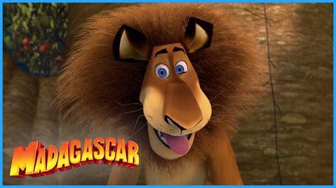 DreamWorks Madagascar | Alex is a hungry lion | Madagascar | Kids ...