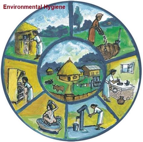 Environmental Hygiene; All You Should Know - HSEWatch