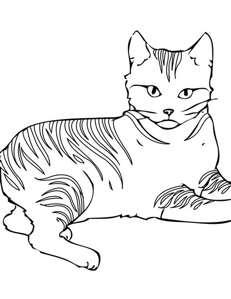 Tabby Cat Coloring Pages at GetDrawings | Free download