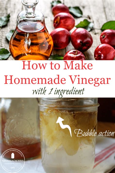 How to Make Homemade Fruit Vinegar - Melissa K. Norris