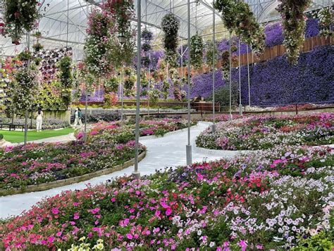 Malaysia Flower Garden | Best Flower Site