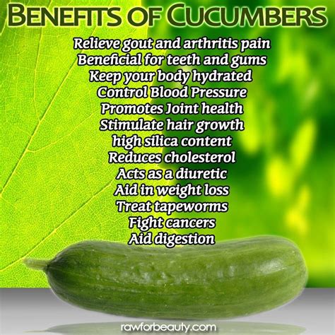 The 25+ best Cucumber benefits ideas on Pinterest | Mint benefits ...