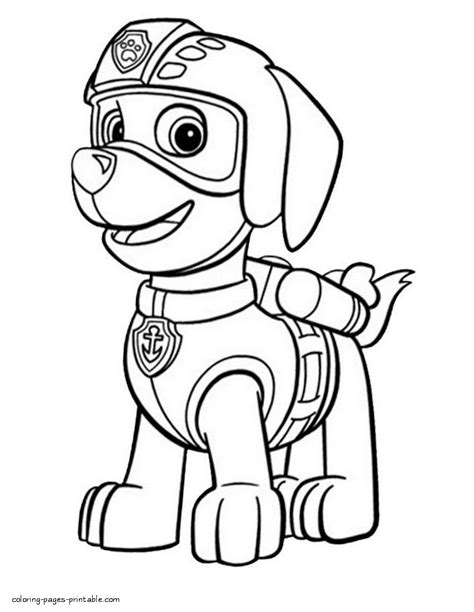 Print Paw Patrol coloring pages. Zuma || COLORING-PAGES-PRINTABLE.COM