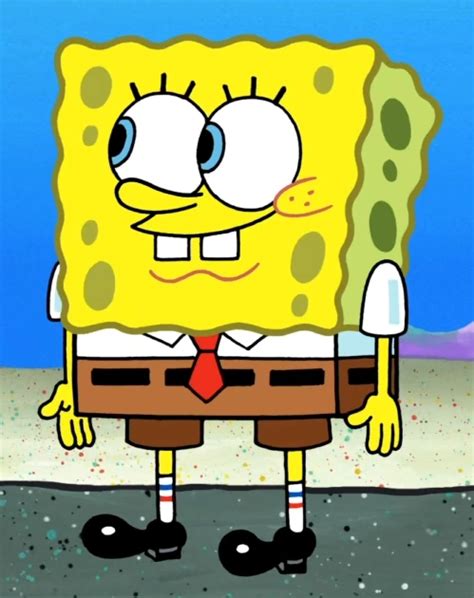 SpongeBob SquarePants | Animation Wiki | Fandom