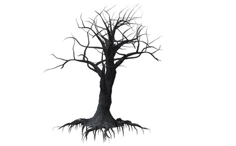 Creepy Dead Tree Silhouette - ClipArt Best