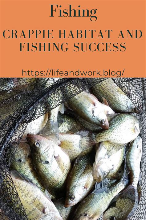 Crappie Habitat and Fishing Success