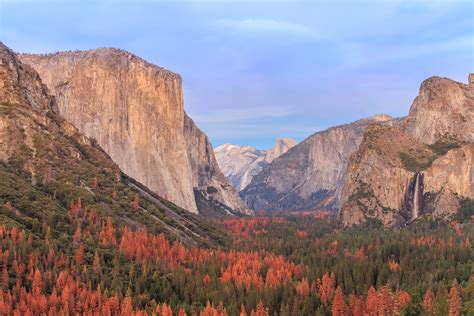 California Fall Foliage: It's Real, and There's a Map for That | KQED