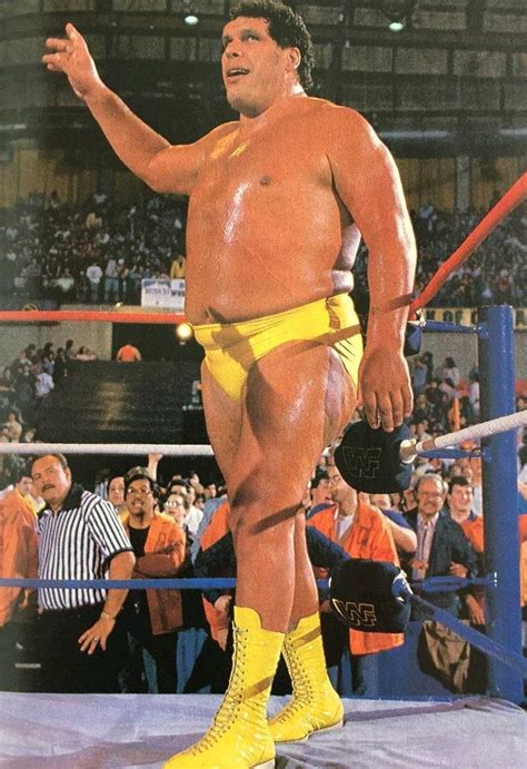 André the Giant | Wwe legends, Famous wrestlers, Wrestling superstars