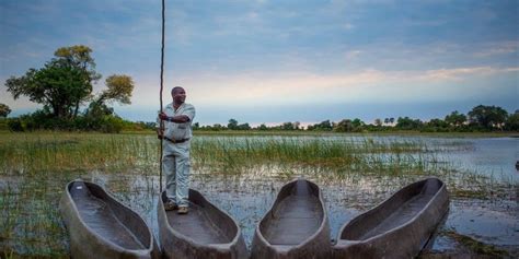 Okavango Delta Safaris: A Visitor's Guide To Okavango Delta