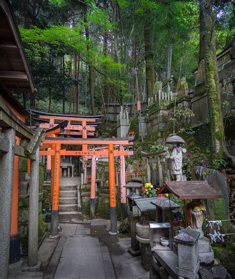 Fushimi Inari-Taisha | Back hike route we discovered by chan… | Flickr