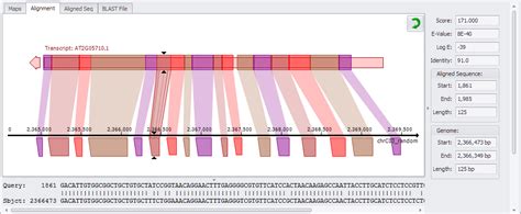 BLAST Results Alignment