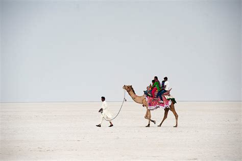 Indian family enjoying a camel ride in … – License image – 71135873 ...