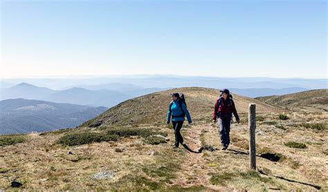 Mount Bogong