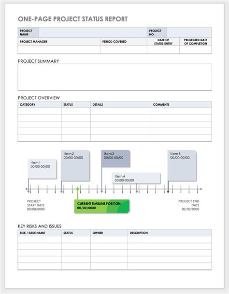 Project Issue Report Template | Classles Democracy