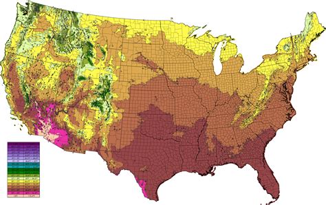 Is the USA for me? (find a job, buying, tornadoes) - General U.S ...