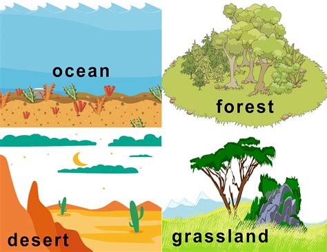 Animals And Their Habitats Chart