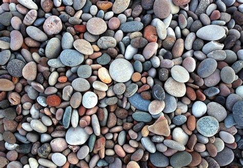 Everything You Need to Know About Using Pebbles in the Garden | Balcony ...