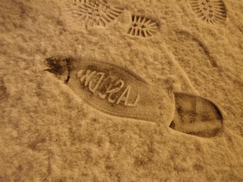 This shoe print in the snow with brand's name carved in the sole. : r ...