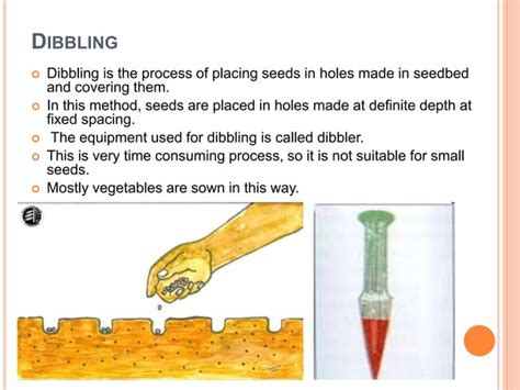 Different methods of sowing | PPT