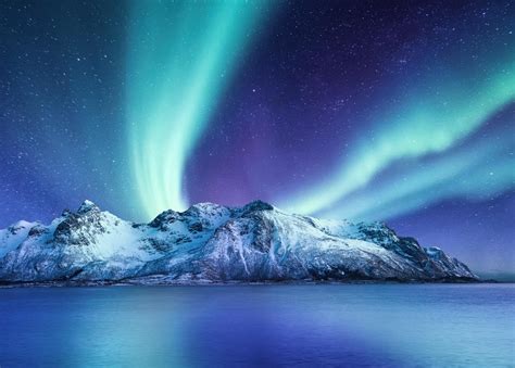 Norway Northern Lights Package Deals | Shelly Lighting